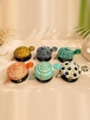 turtle bowl color range photo