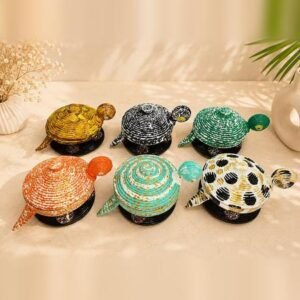 turtle bowl color range photo